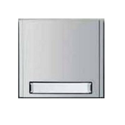 Bitron AN6181/L Module